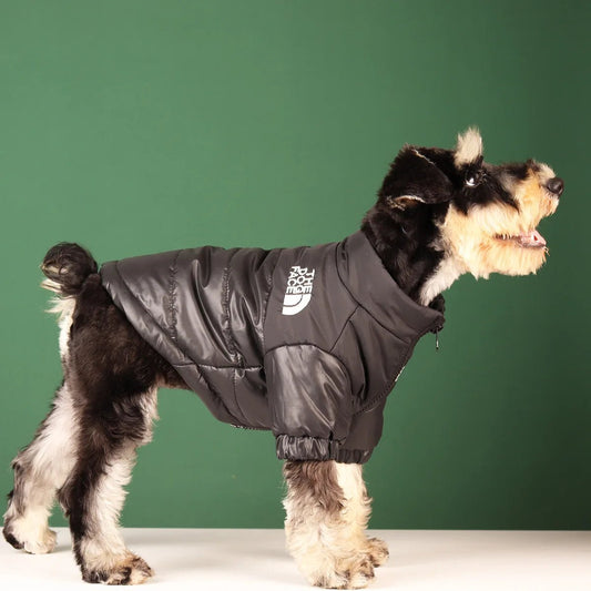 Elevate your dog's winter style with The Dog Face luxury jacket a statement piece for pet owners who demand the very best. Crafted with premium materials and an iconic two - tone design, this jacket combines warmth and water resistance - Luxempirez