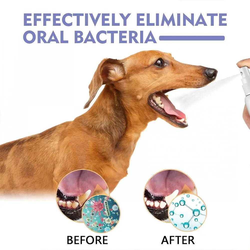 60ml Pet Oral Care Spray is a fast and easy way to freshen your dog’s breath while helping to clean teeth and reduce plaque buildup. - Luxempirez