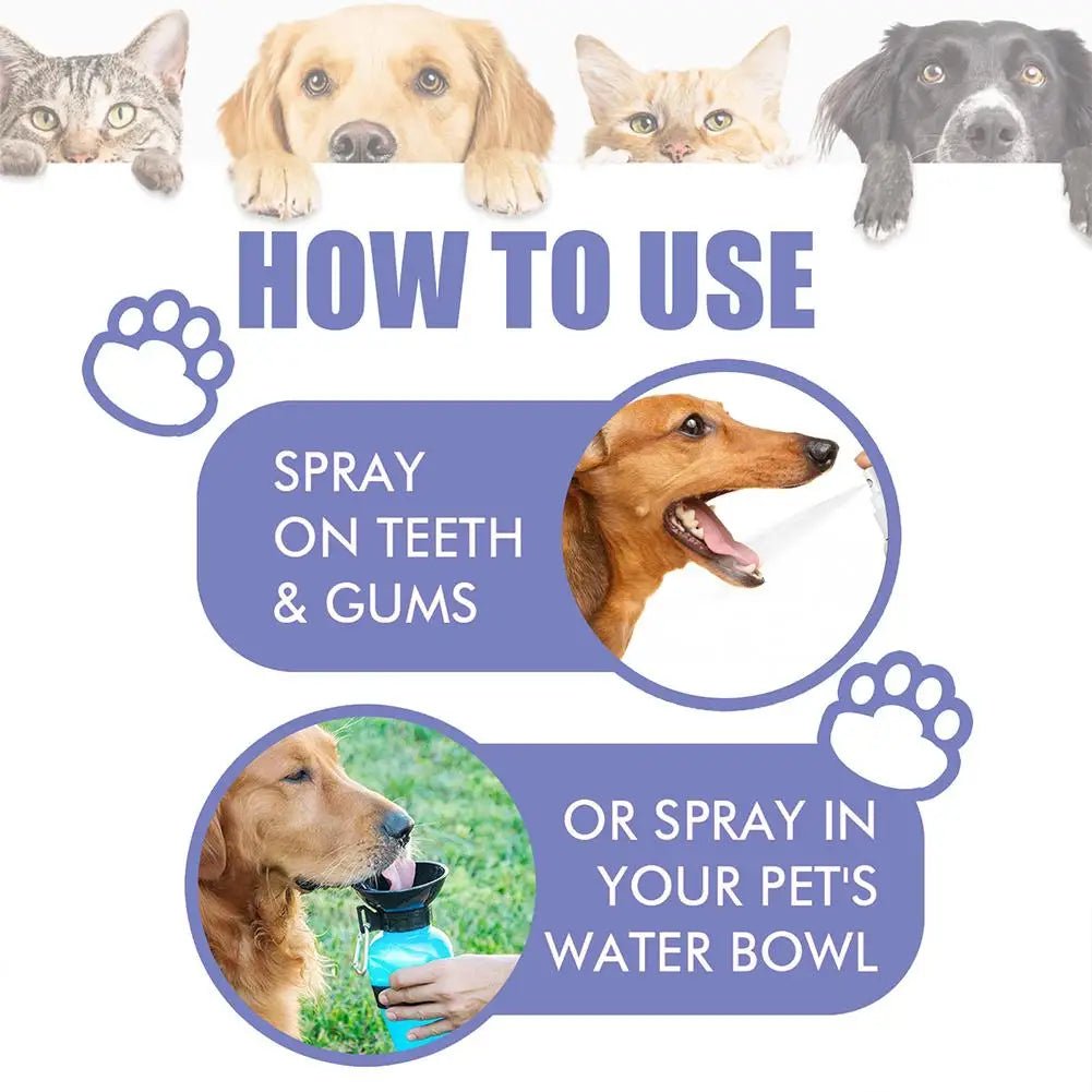 60ml Pet Oral Care Spray is a fast and easy way to freshen your dog’s breath while helping to clean teeth and reduce plaque buildup. - Luxempirez