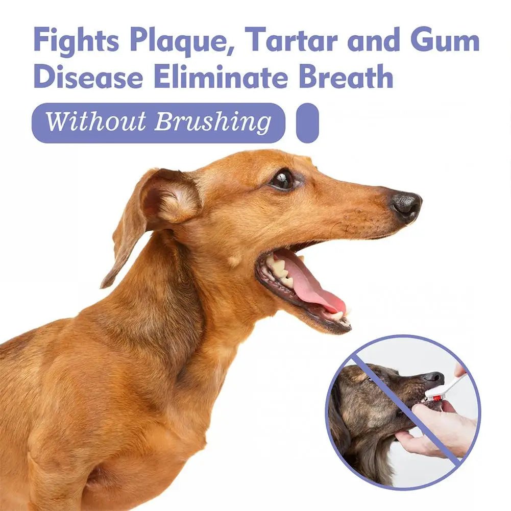 60ml Pet Oral Care Spray is a fast and easy way to freshen your dog’s breath while helping to clean teeth and reduce plaque buildup. - Luxempirez