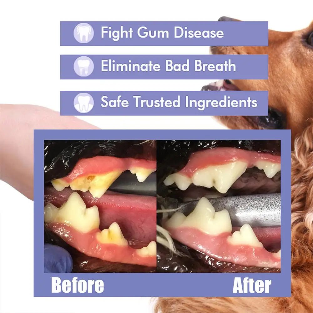 60ml Pet Oral Care Spray is a fast and easy way to freshen your dog’s breath while helping to clean teeth and reduce plaque buildup. - Luxempirez