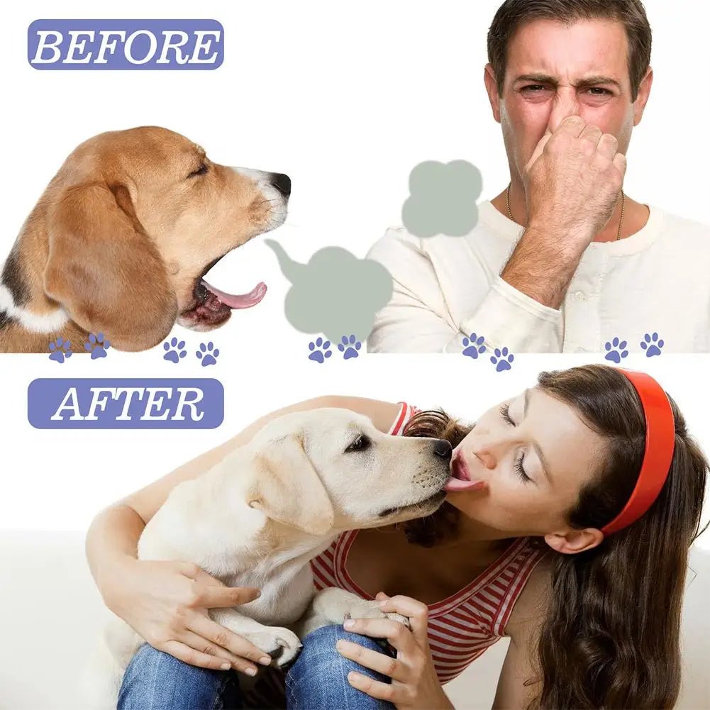 60ml Pet Oral Care Spray is a fast and easy way to freshen your dog’s breath while helping to clean teeth and reduce plaque buildup. - Luxempirez