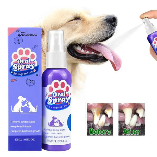 60ml Pet Oral Care Spray is a fast and easy way to freshen your dog’s breath while helping to clean teeth and reduce plaque buildup. - Luxempirez