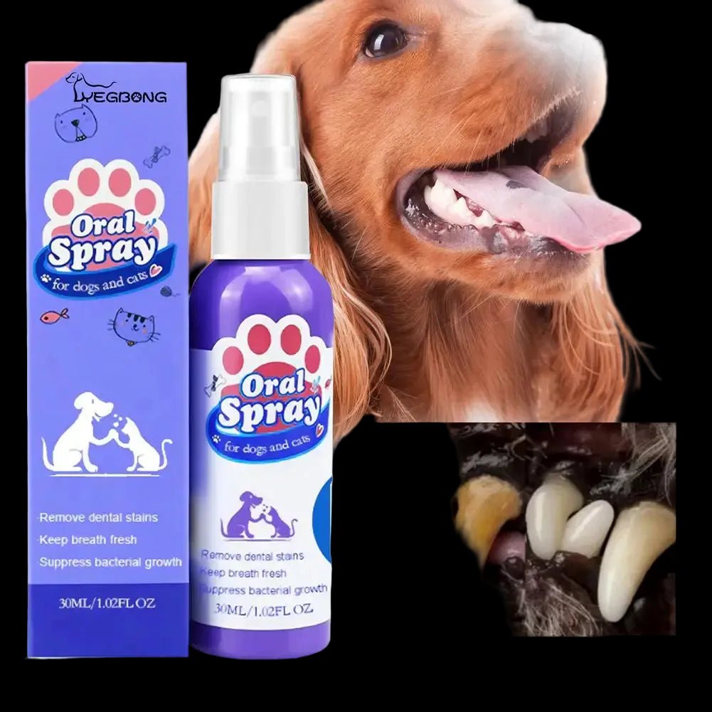 60ml Pet Oral Care Spray is a fast and easy way to freshen your dog’s breath while helping to clean teeth and reduce plaque buildup. - Luxempirez