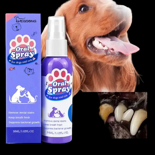 60ml Pet Oral Care Spray is a fast and easy way to freshen your dog’s breath while helping to clean teeth and reduce plaque buildup. - Luxempirez