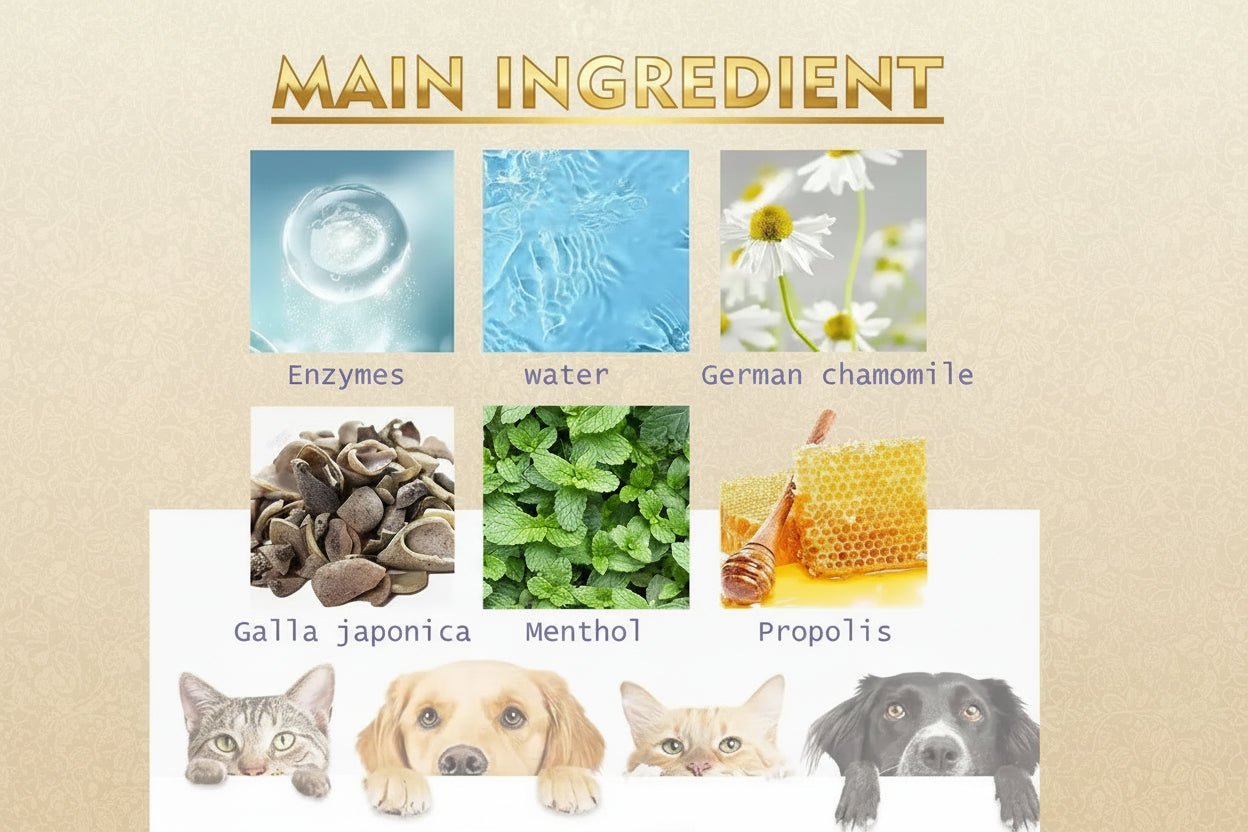 60ml Pet Oral Care Spray is a fast and easy way to freshen your dog’s breath while helping to clean teeth and reduce plaque buildup. - Luxempirez