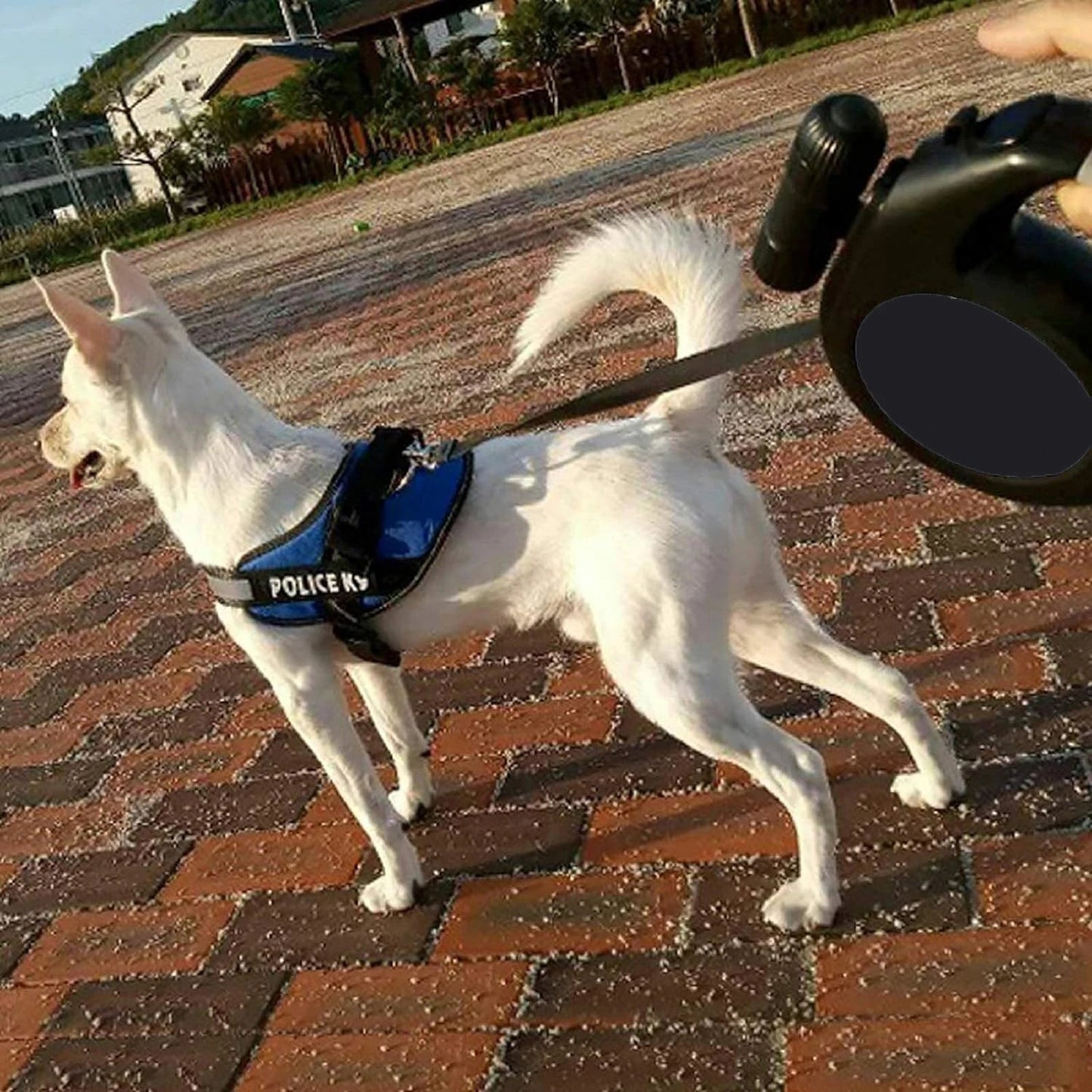 8M retractable dog leash with LED lights, perfect for powerful dogs up to 50 kg, ideal for safe and comfortable day or night walks. - Luxempirez