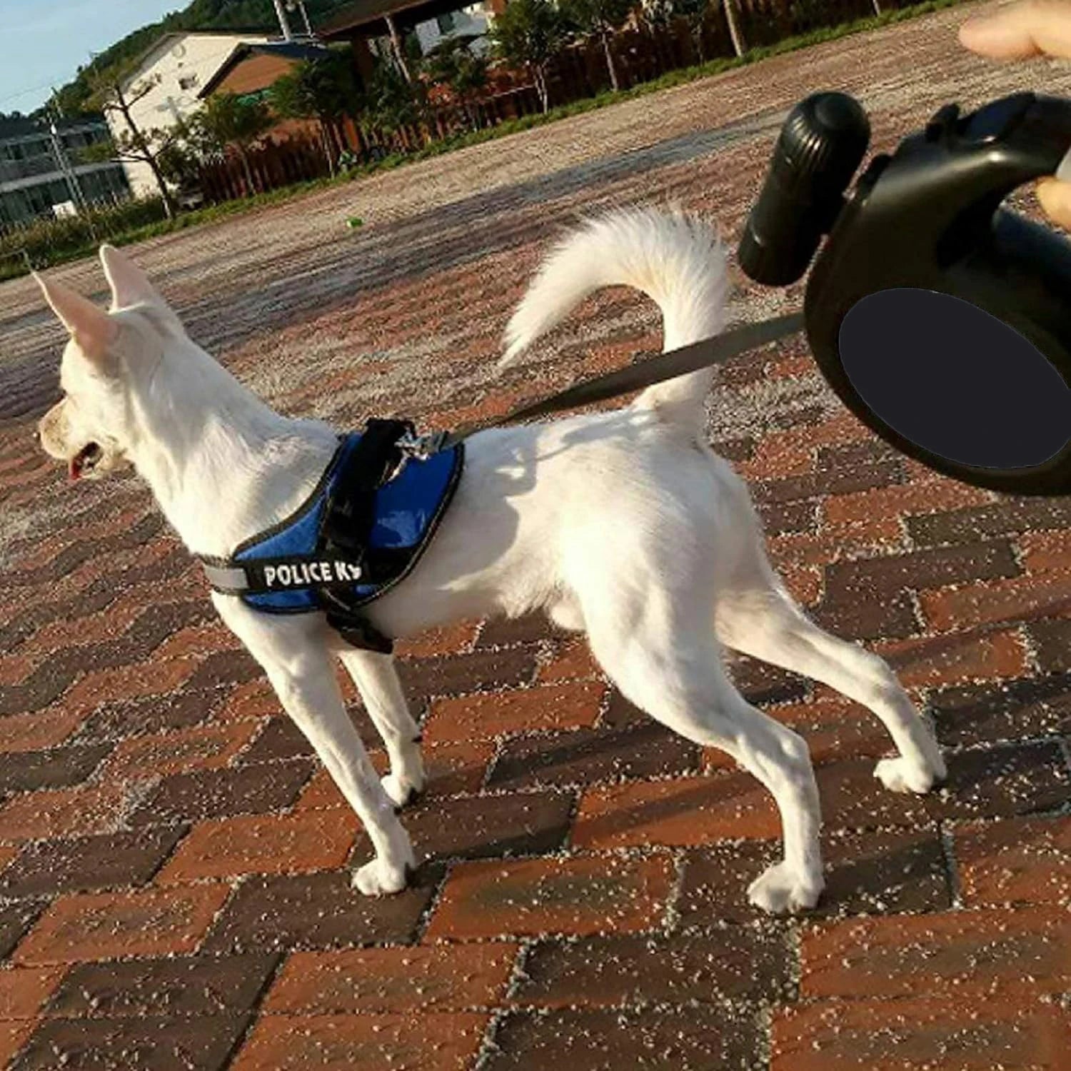 8M retractable dog leash with LED lights, perfect for powerful dogs up to 50 kg, ideal for safe and comfortable day or night walks. - Luxempirez