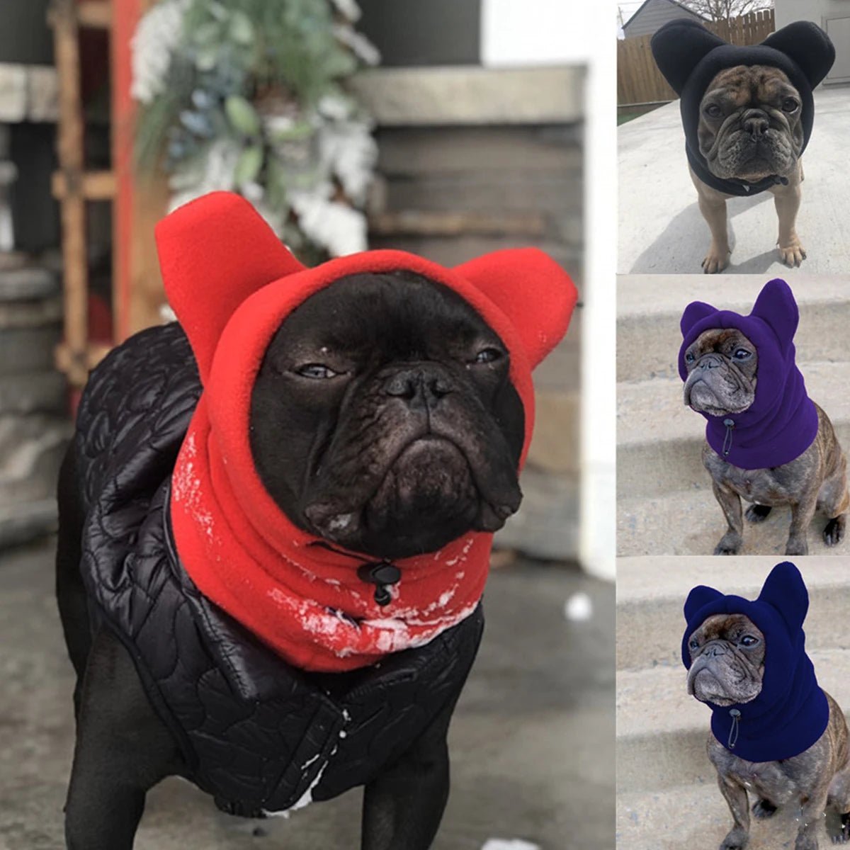 Add adorable warmth to your dog's winter look with the Cute Fleece Bat Hat for Bulldogs and Frenchies. This adjustable soft hat combines fun bat design with cozy fleece for stylish cold - weather protection. - Luxempirez