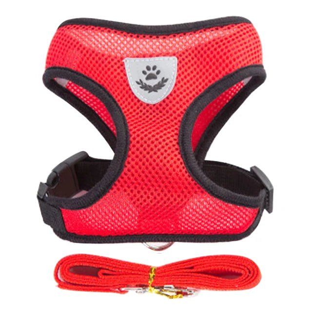 Adjustable Mesh Cat Harness – Soft Breathable Vest with Leash for Small & Medium Pets - Luxempirez