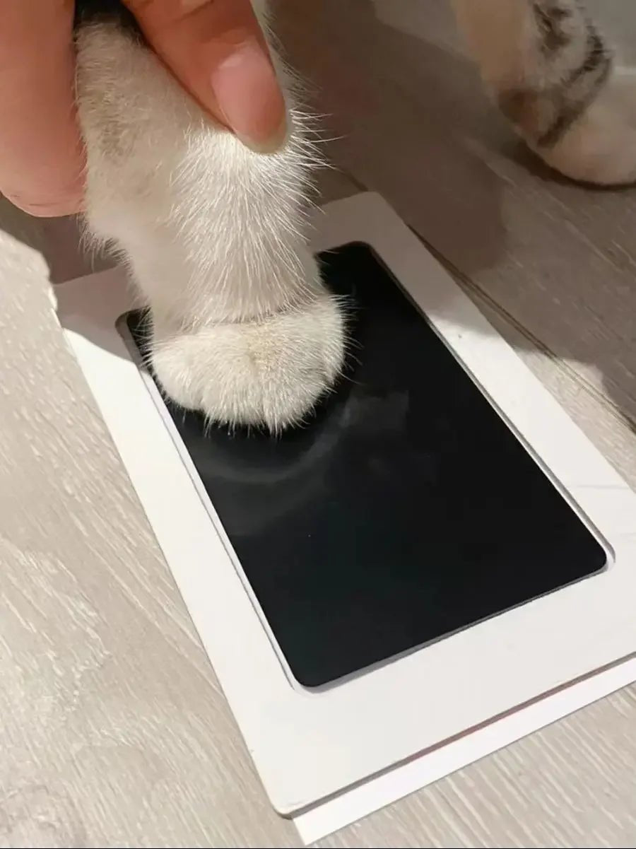 Baby Handprint & Paw Print Inkless Pad – Safe No‑Touch Keepsake for Newborns, Cats & Dogs - Luxempirez