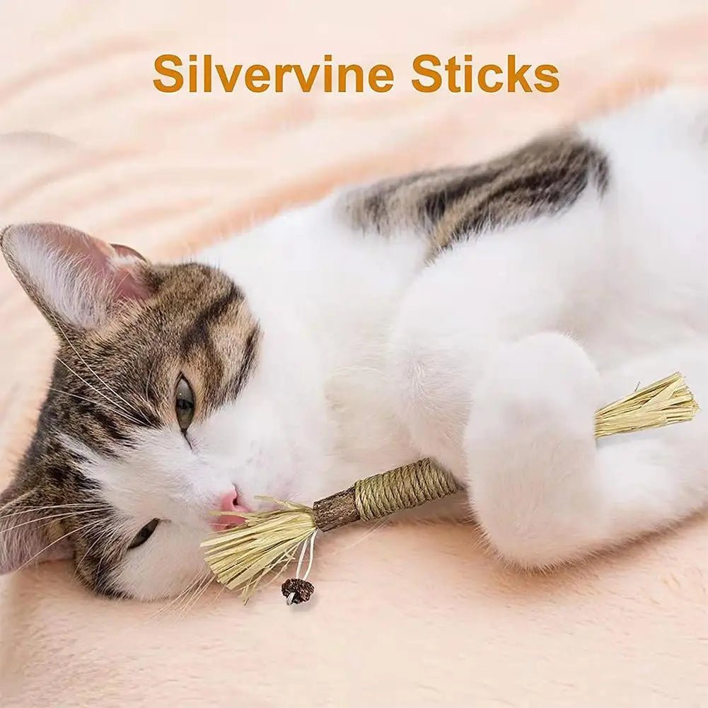 Cat chew stick with natural catnip perfect for play and dental care. This tasty chew helps clean teeth and freshen breath while your cat bites and chews. Made with safe, natural ingredients and premium catnip to keep your cat relaxed and entertained. - Luxempirez
