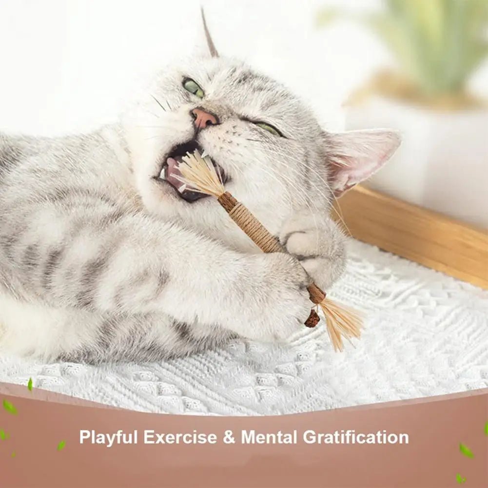 Cat chew stick with natural catnip perfect for play and dental care. This tasty chew helps clean teeth and freshen breath while your cat bites and chews. Made with safe, natural ingredients and premium catnip to keep your cat relaxed and entertained. - Luxempirez