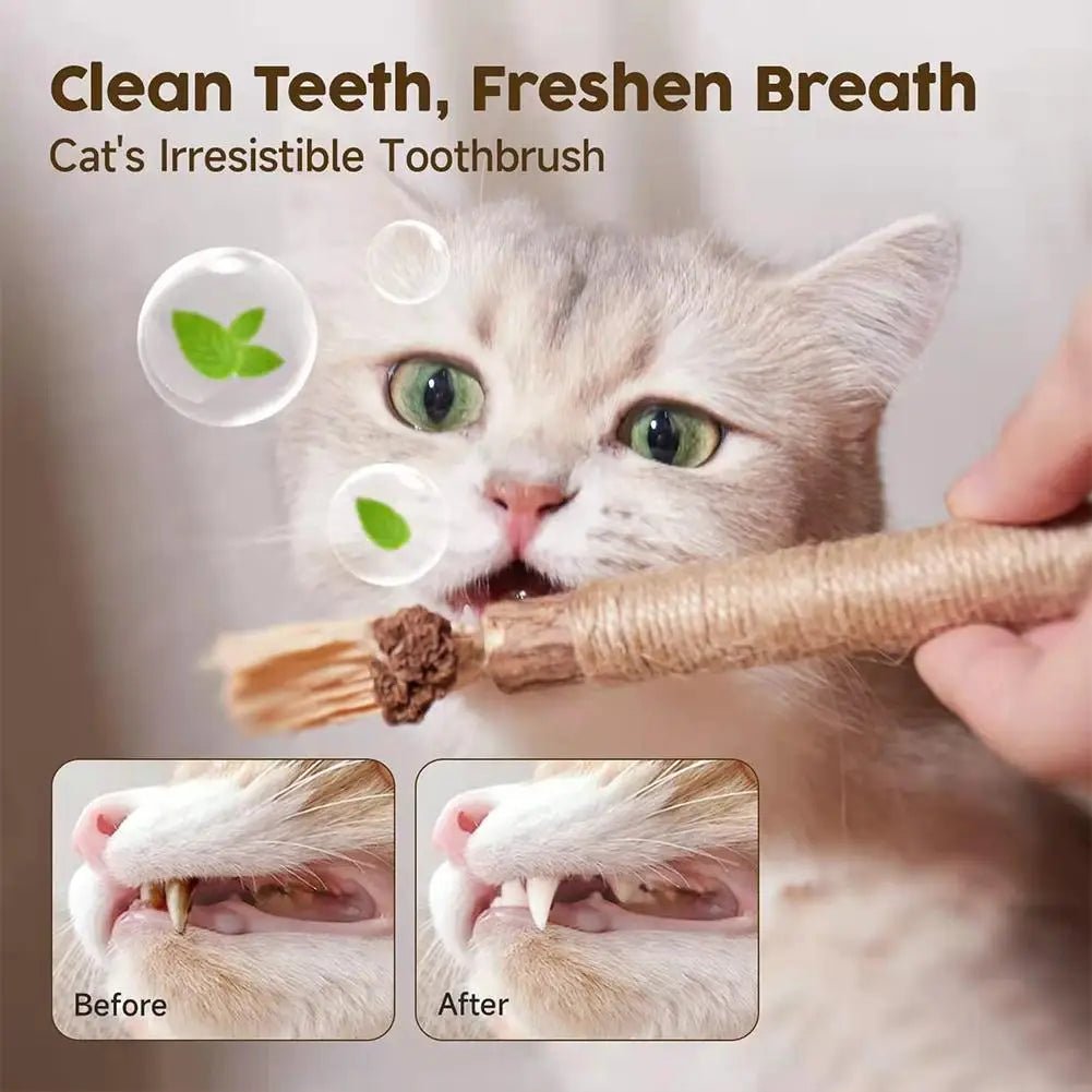 Cat chew stick with natural catnip perfect for play and dental care. This tasty chew helps clean teeth and freshen breath while your cat bites and chews. Made with safe, natural ingredients and premium catnip to keep your cat relaxed and entertained. - Luxempirez