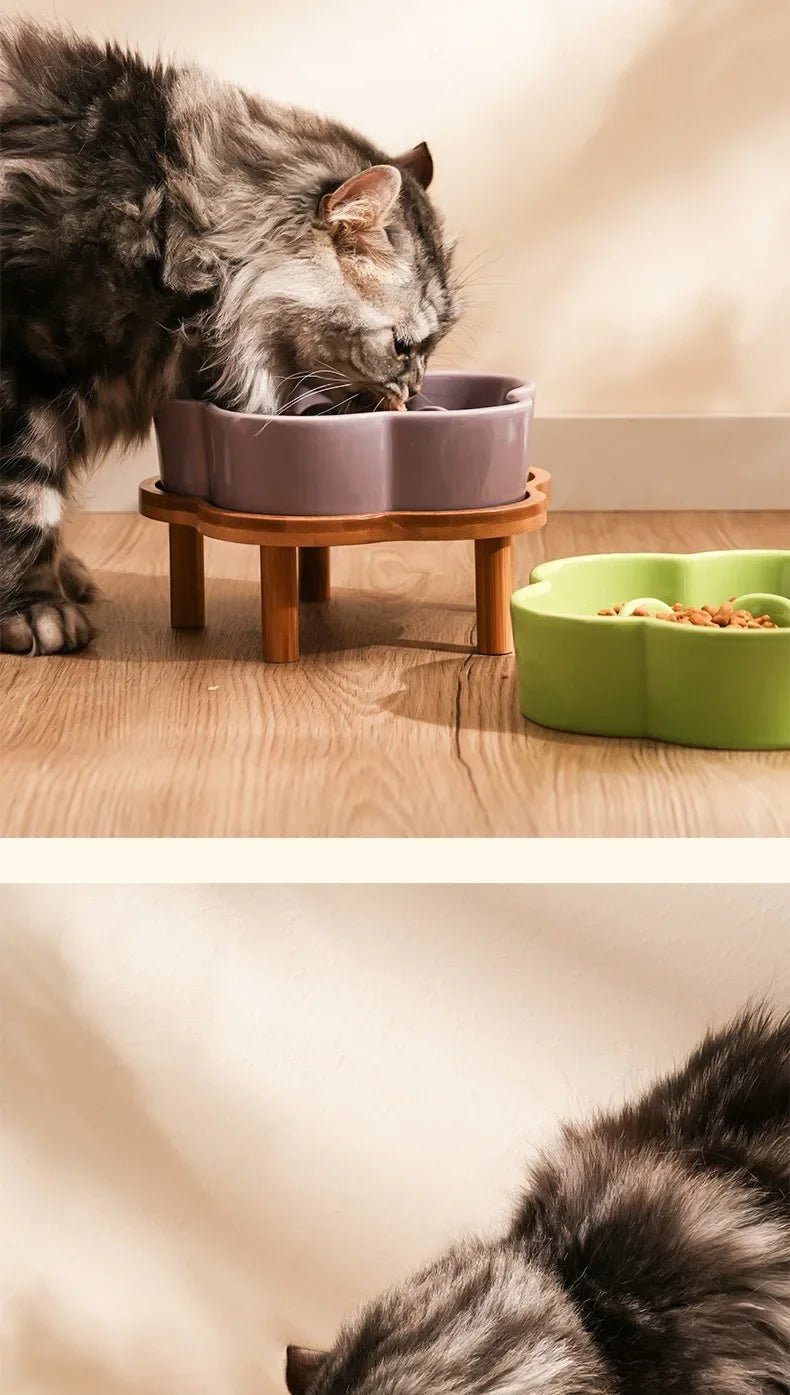 Colorful flower - shaped slow feeder bowls that turn every meal into a fun, healthy eating ritual for dogs and cats. - Luxempirez