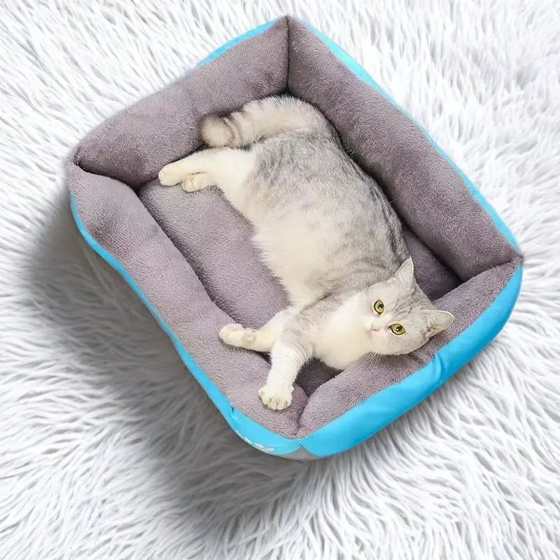 Cozy, colorful and ultra - soft, this plush pet bed is designed to give your dog or cat a warm, secure place to curl up and sleep deeply. - Luxempirez