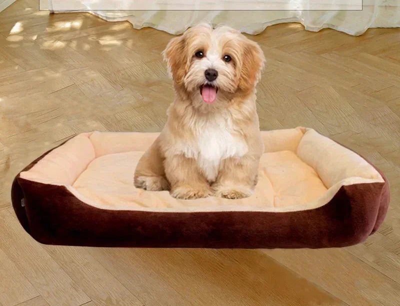 Cozy, colorful and ultra - soft, this plush pet bed is designed to give your dog or cat a warm, secure place to curl up and sleep deeply. - Luxempirez