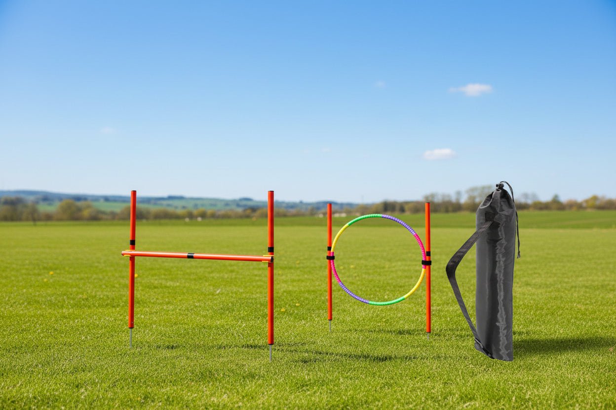 Ensemble d'entraînement d'agilité pour chien parfait pour des exercices amusants dans le jardin et un entraînement d'obéissance sérieux avec votre chien. Ce kit portable est facile à installer, à régler et à ranger après chaque séance. - Luxempirez