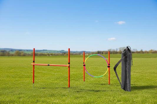 Dog agility training set perfect for fun backyard exercise and serious obedience training with your dog. This portable kit is easy to set up, adjust, and store after each session. - Luxempirez