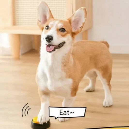 Dog Communication Buttons – 30s Voice Recording Buttons for Pet Training and Funny Talking Gift - Luxempirez