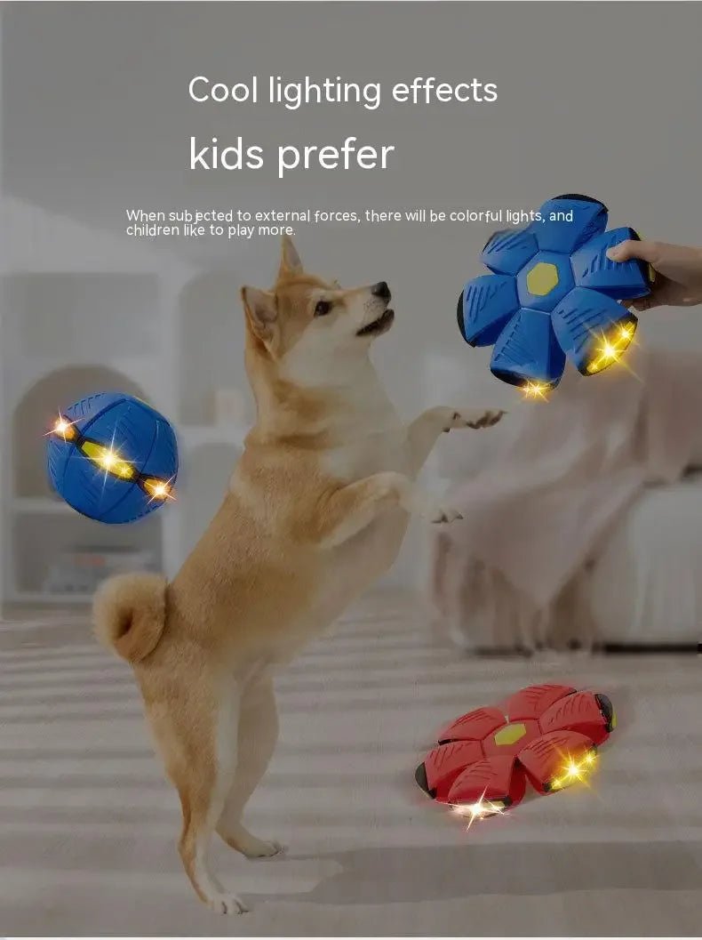 Dog Toys Bouncing Ball Throw Disc Ball with LED Light – the fun 2‑in‑1 toy that pops from a flat disc into a bouncing ball in seconds. - Luxempirez