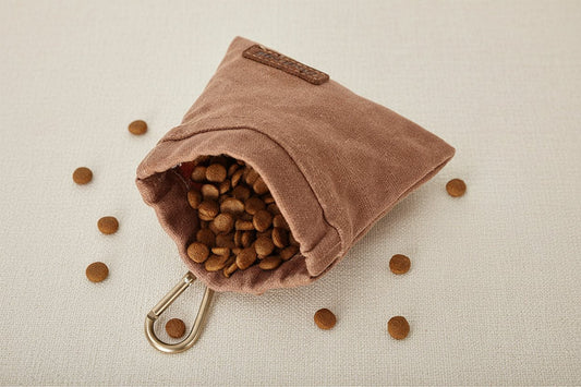 Dog Training Snack Bag – Outdoor Travel Treat Pouch, Oil‑Resistant & Portable - Luxempirez
