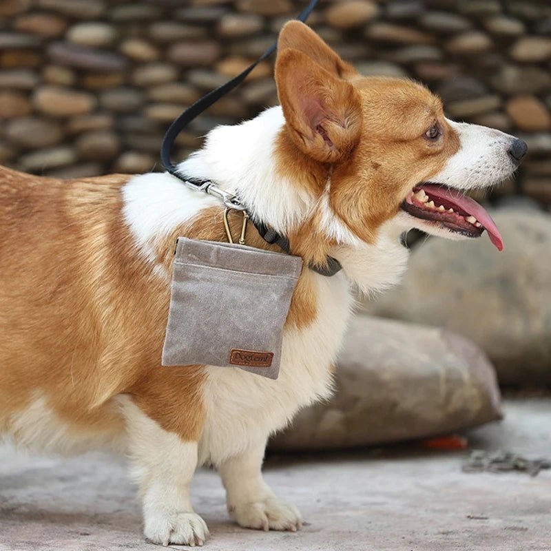 Sac à collations pour dressage de chien – Pochette à friandises de voyage en plein air, résistante à l'huile et portable - Luxempirez