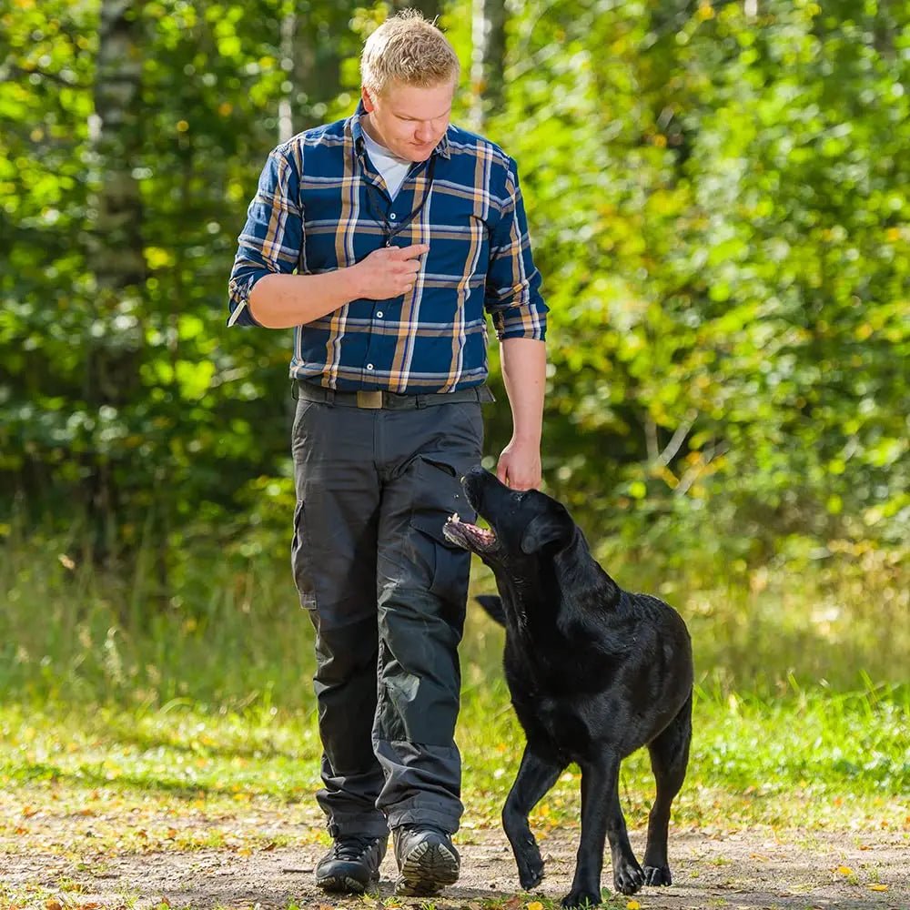 Sifflet de dressage pour chien avec lanière – un outil simple et professionnel pour améliorer l'obéissance et le rappel de votre chien. - Luxempirez