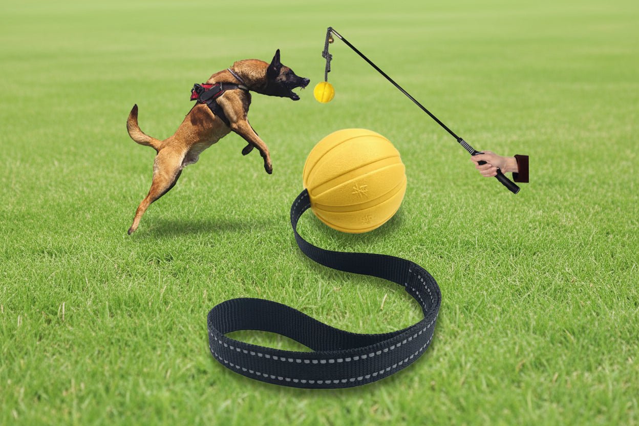 Balle en mousse EVA durable sur corde conçue pour les jeux interactifs de traction et de récupération, idéale pour entraîner et exercer les chiens de petite, moyenne et grande taille. - Luxempirez