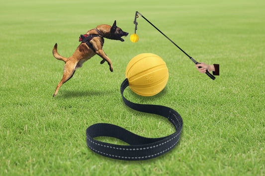 Durable EVA foam ball on a rope designed for interactive tug and fetch games, ideal for training and exercising small, medium and large dogs. - Luxempirez