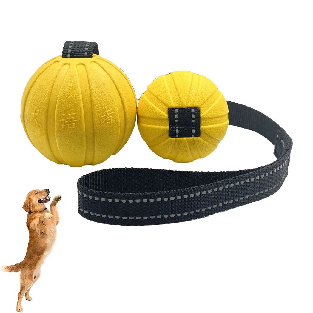 Balle en mousse EVA durable sur corde conçue pour les jeux interactifs de traction et de récupération, idéale pour entraîner et exercer les chiens de petite, moyenne et grande taille. - Luxempirez