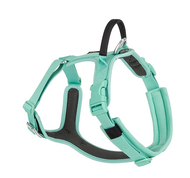 Effortlessly chic and feather - light, this harness brings everyday luxury to active dogs who need both style and control. - Luxempirez