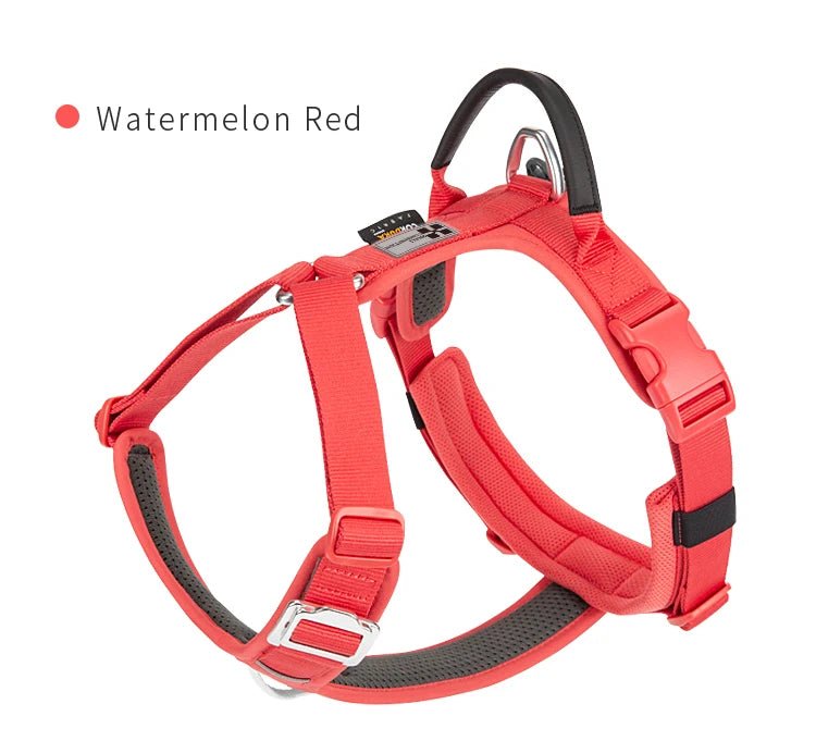 Effortlessly chic and feather - light, this harness brings everyday luxury to active dogs who need both style and control. - Luxempirez