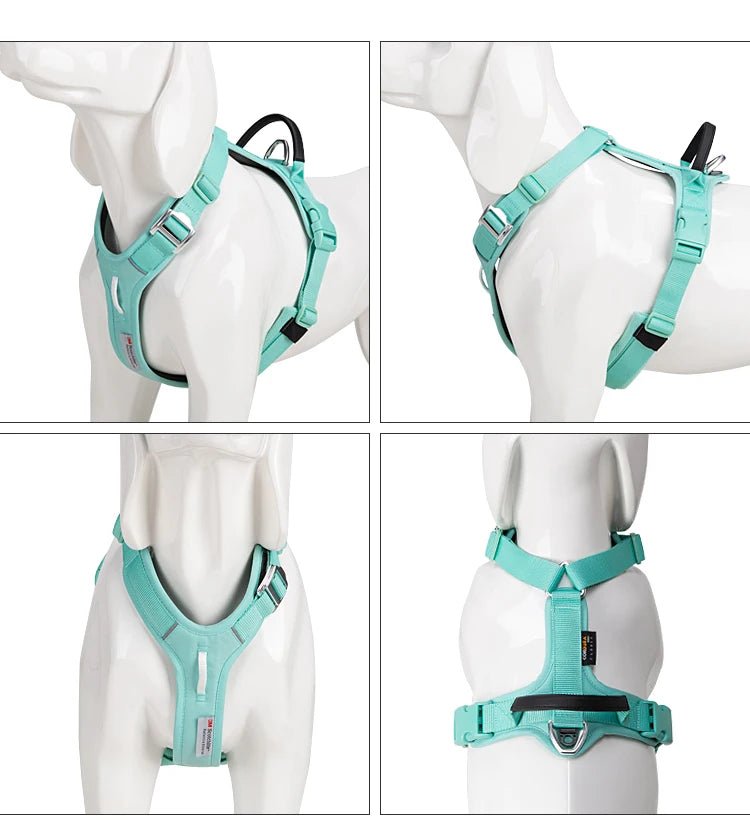 Effortlessly chic and feather - light, this harness brings everyday luxury to active dogs who need both style and control. - Luxempirez