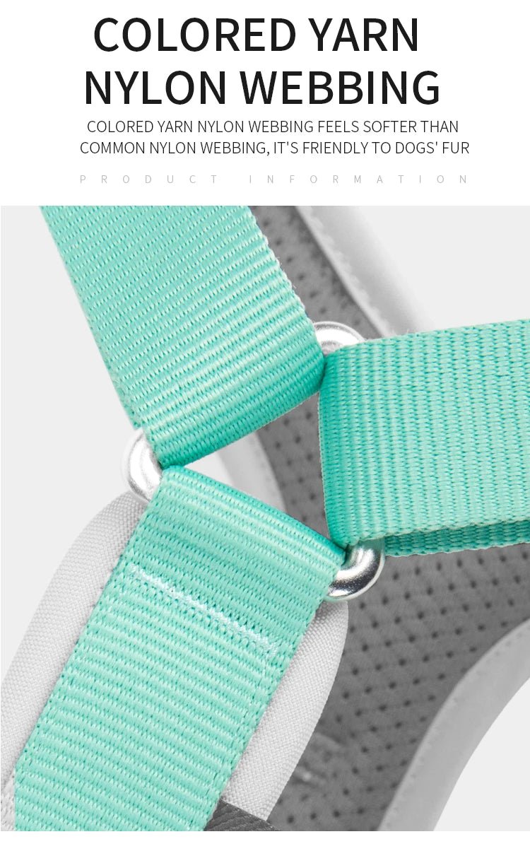 Effortlessly chic and feather - light, this harness brings everyday luxury to active dogs who need both style and control. - Luxempirez