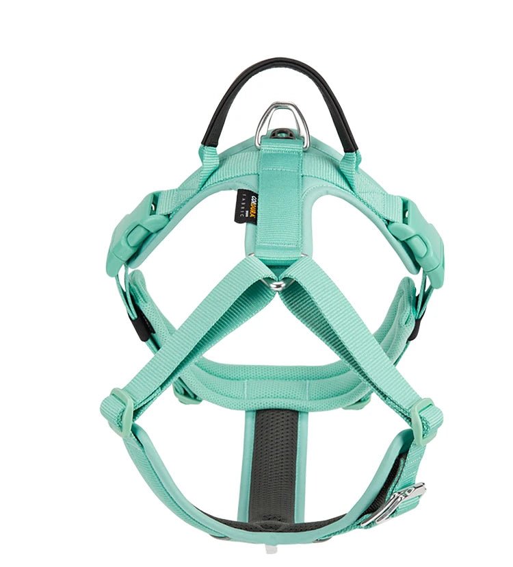 Effortlessly chic and feather - light, this harness brings everyday luxury to active dogs who need both style and control. - Luxempirez