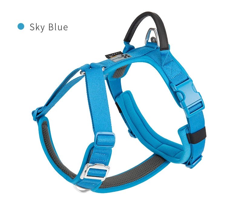 Effortlessly chic and feather - light, this harness brings everyday luxury to active dogs who need both style and control. - Luxempirez