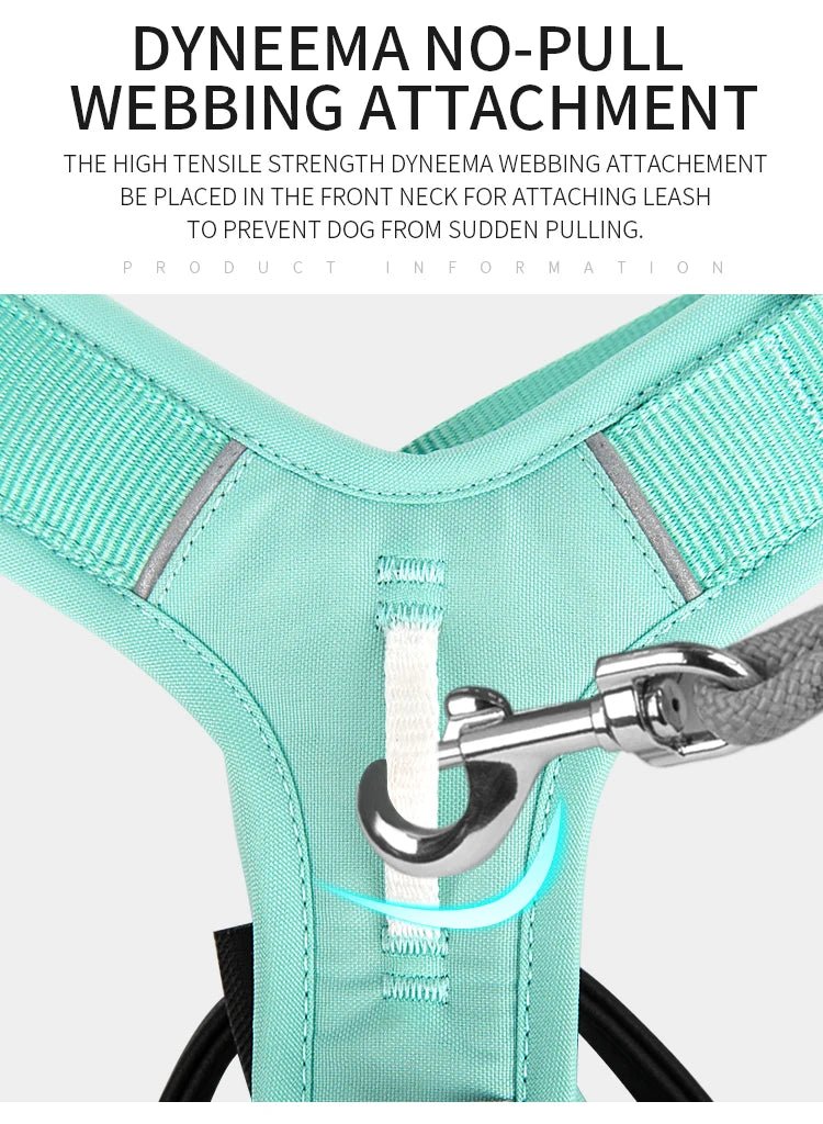 Effortlessly chic and feather - light, this harness brings everyday luxury to active dogs who need both style and control. - Luxempirez