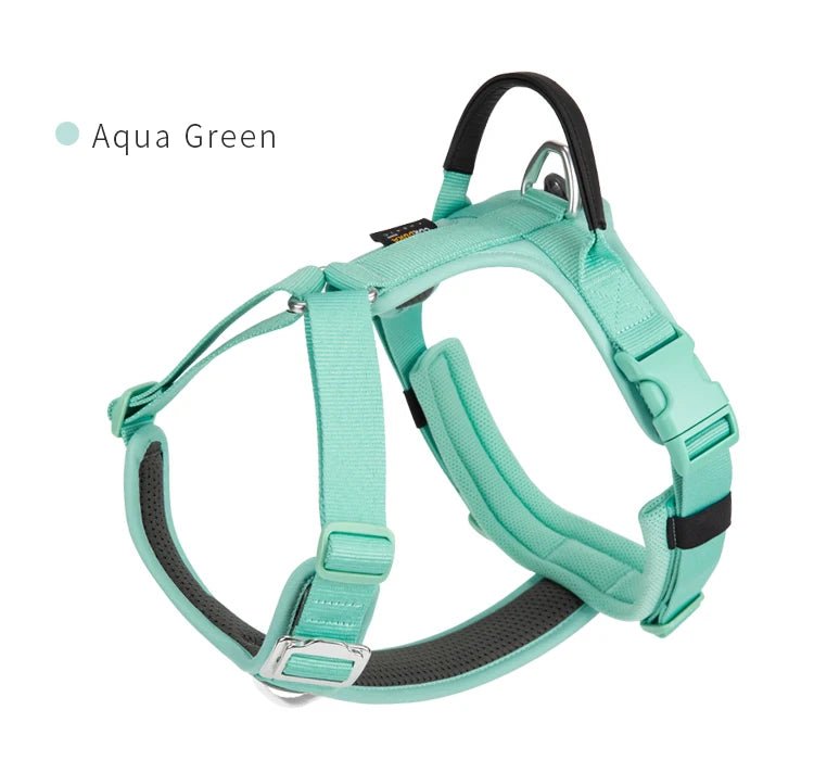 Effortlessly chic and feather - light, this harness brings everyday luxury to active dogs who need both style and control. - Luxempirez
