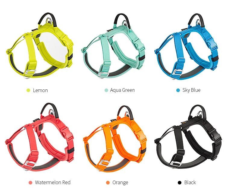 Effortlessly chic and feather - light, this harness brings everyday luxury to active dogs who need both style and control. - Luxempirez