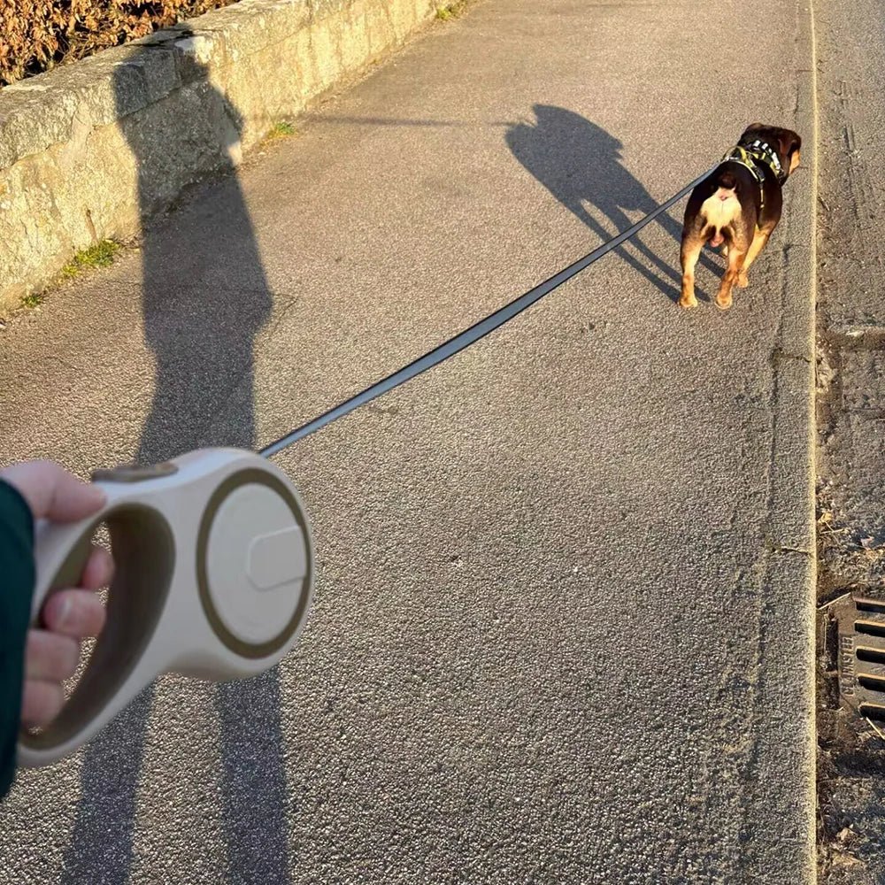 Elevate your dog's style with a luxury retractable leash, now available in a vibrant selection of modern colors at Luxempirez where elegance meets functionality for discerning pet owners. - Luxempirez