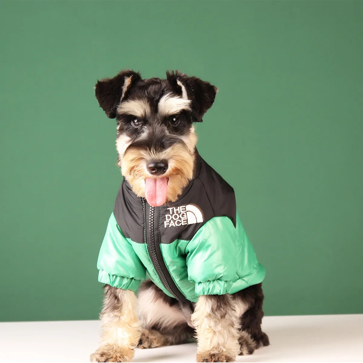 Elevate your dog's winter style with The Dog Face luxury jacket a statement piece for pet owners who demand the very best. Crafted with premium materials and an iconic two - tone design, this jacket combines warmth and water resistance - Luxempirez