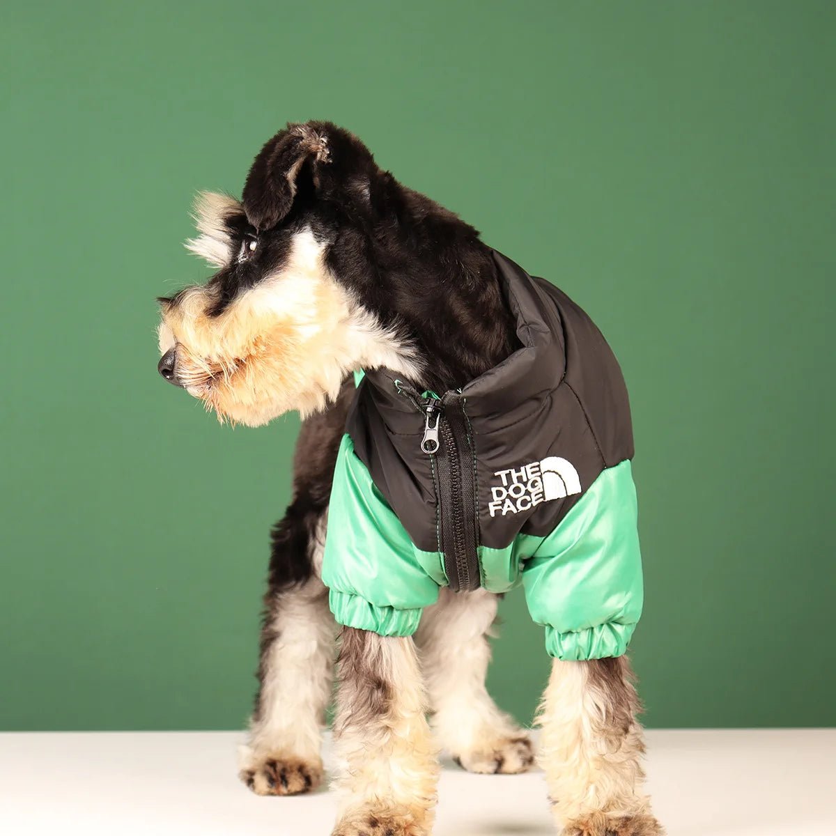 Elevate your dog's winter style with The Dog Face luxury jacket a statement piece for pet owners who demand the very best. Crafted with premium materials and an iconic two - tone design, this jacket combines warmth and water resistance - Luxempirez