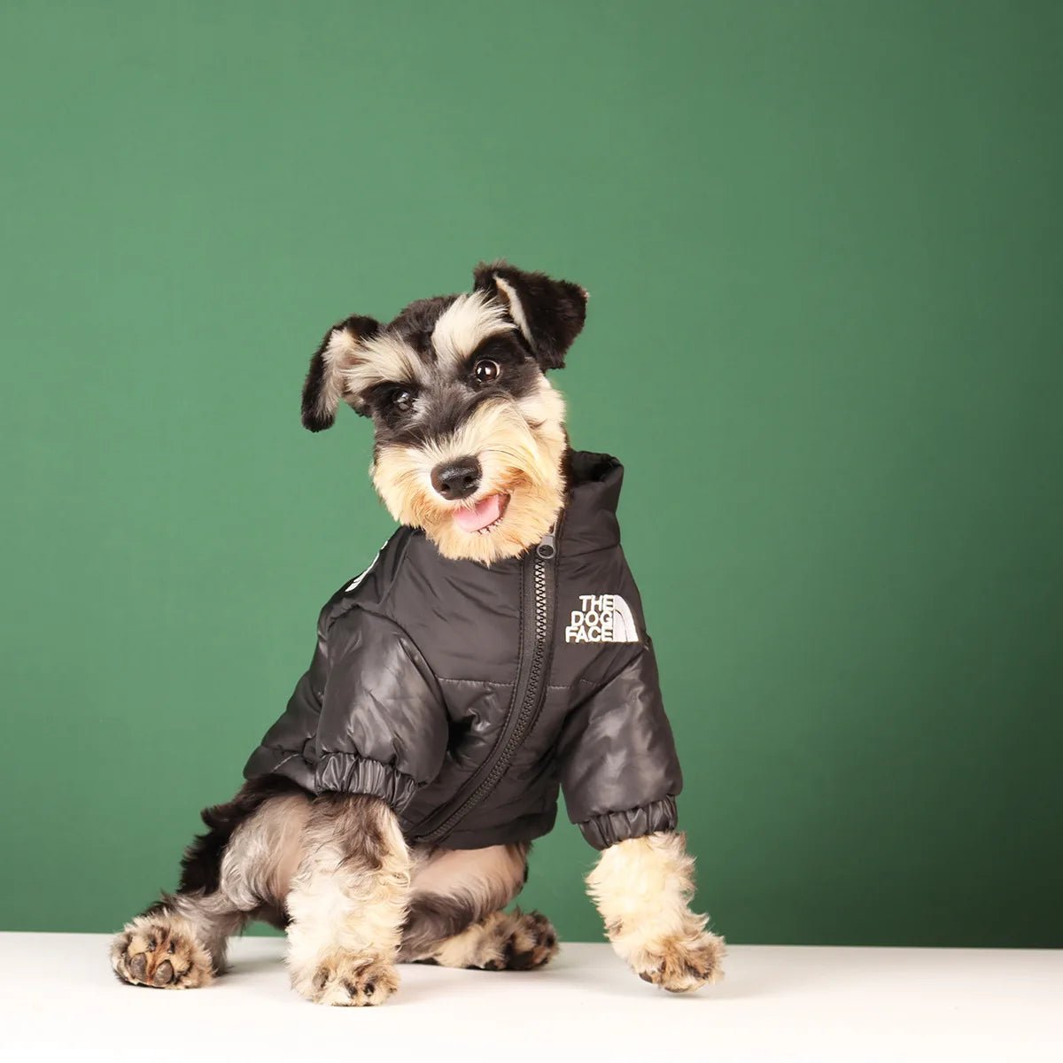 Elevate your dog's winter style with The Dog Face luxury jacket a statement piece for pet owners who demand the very best. Crafted with premium materials and an iconic two - tone design, this jacket combines warmth and water resistance - Luxempirez