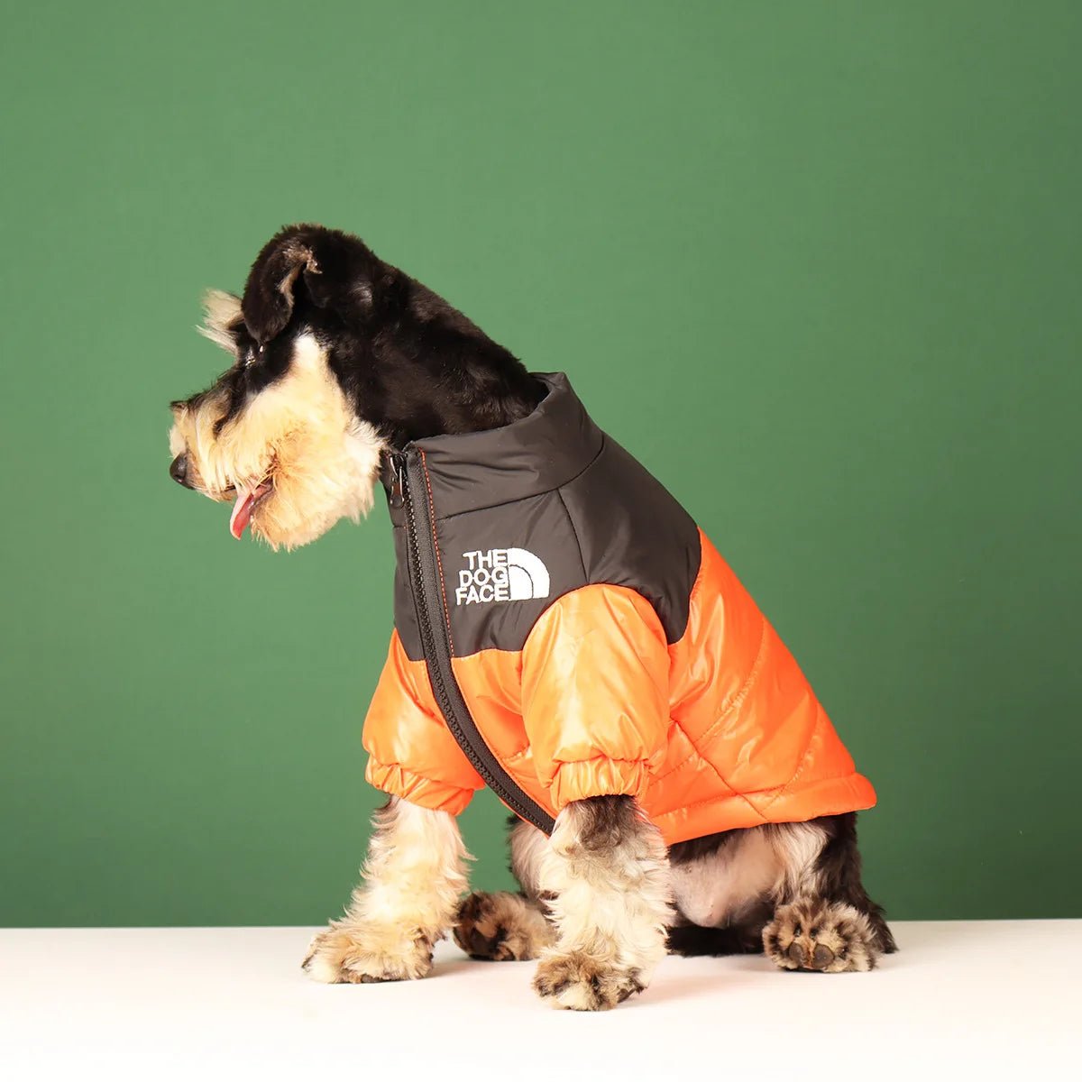 Elevate your dog's winter style with The Dog Face luxury jacket a statement piece for pet owners who demand the very best. Crafted with premium materials and an iconic two - tone design, this jacket combines warmth and water resistance - Luxempirez