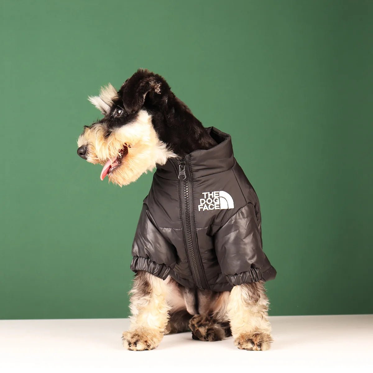 Elevate your dog's winter style with The Dog Face luxury jacket a statement piece for pet owners who demand the very best. Crafted with premium materials and an iconic two - tone design, this jacket combines warmth and water resistance - Luxempirez
