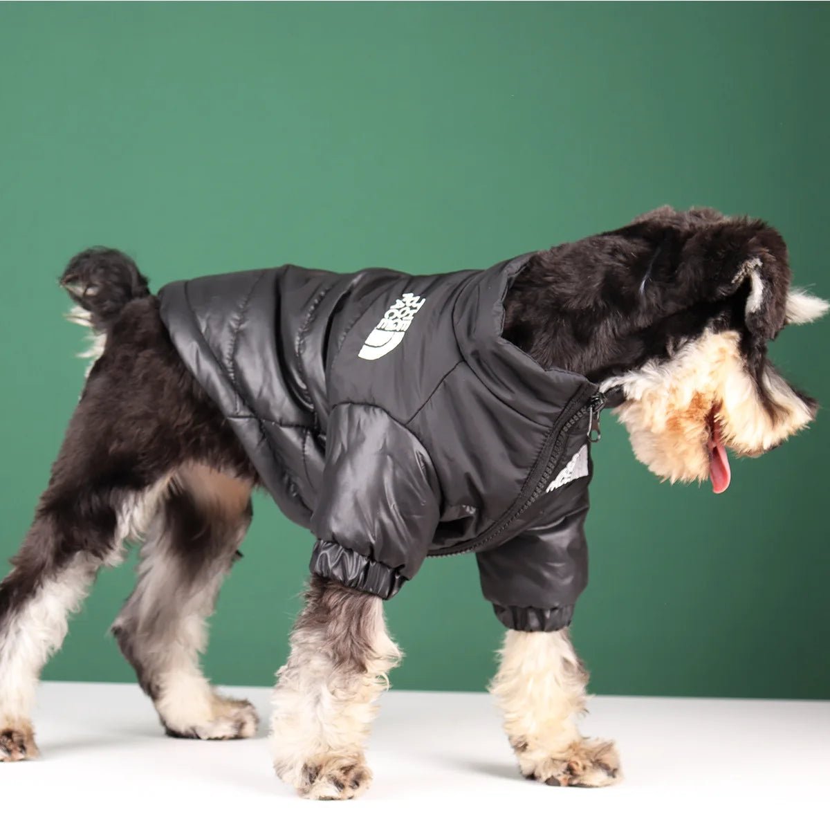 Elevate your dog's winter style with The Dog Face luxury jacket a statement piece for pet owners who demand the very best. Crafted with premium materials and an iconic two - tone design, this jacket combines warmth and water resistance - Luxempirez