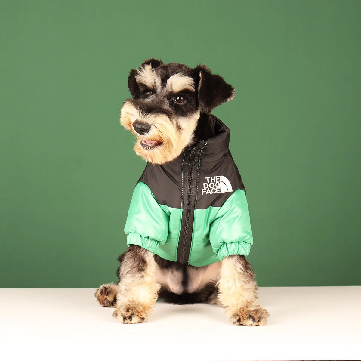 Elevate your dog's winter style with The Dog Face luxury jacket a statement piece for pet owners who demand the very best. Crafted with premium materials and an iconic two - tone design, this jacket combines warmth and water resistance - Luxempirez