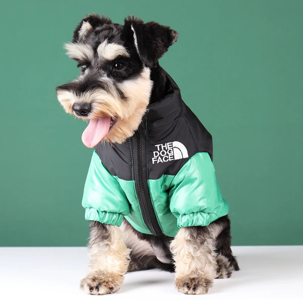 Elevate your dog's winter style with The Dog Face luxury jacket a statement piece for pet owners who demand the very best. Crafted with premium materials and an iconic two - tone design, this jacket combines warmth and water resistance - Luxempirez