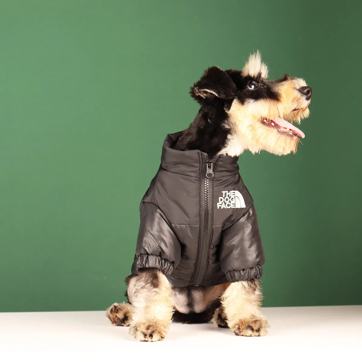 Elevate your dog's winter style with The Dog Face luxury jacket a statement piece for pet owners who demand the very best. Crafted with premium materials and an iconic two - tone design, this jacket combines warmth and water resistance - Luxempirez